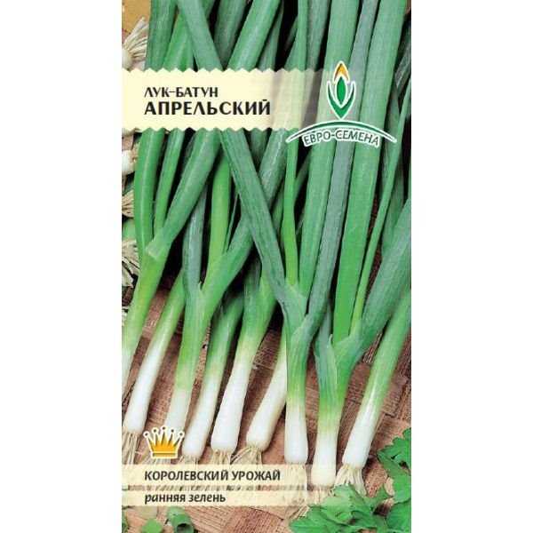 Купить Лук Батун Апрельский (Евро) 1г - Успехагро Кемерово